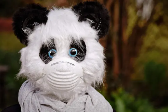 Casino Volcano Bingo Stuðningur